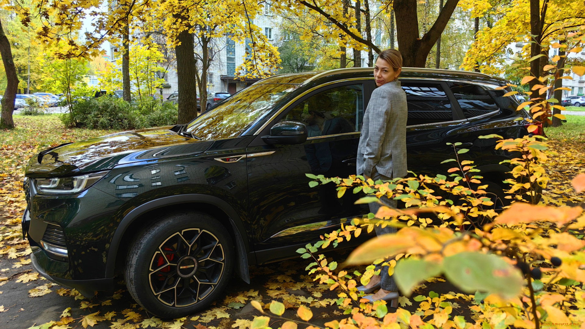 ����������, -���� � ���������, chery, tiggo, 8, pro, max